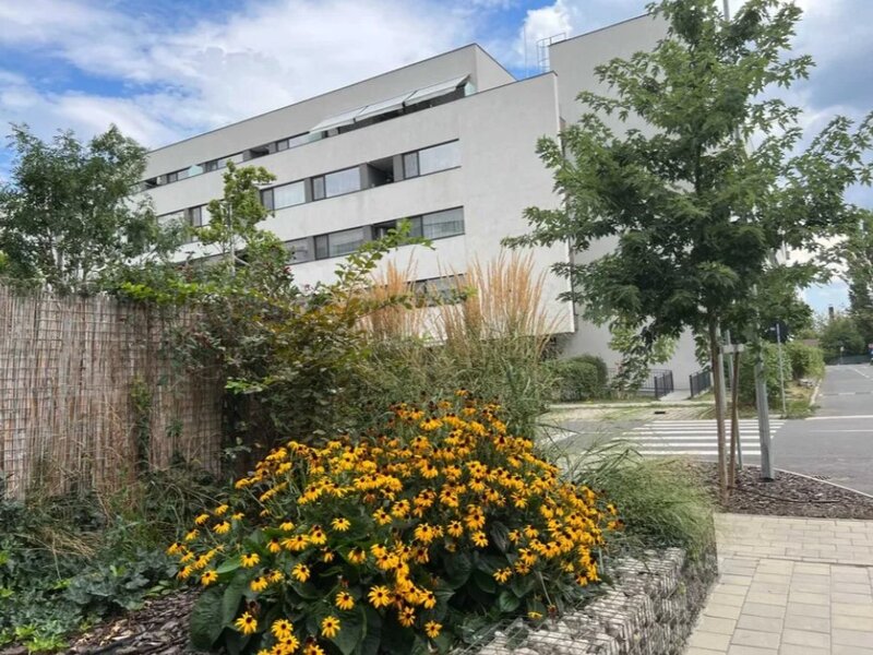 Sector 1 Reper Mall Colosseum: Studio + Gradina proprie, Nou-Finalizat