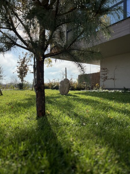 Sector 1 Reper Mall Colosseum: Studio + Gradina proprie, Nou-Finalizat