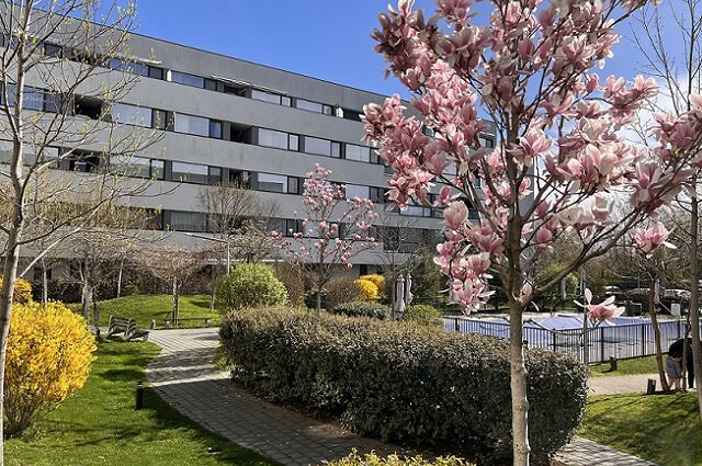 Sector 1 Reper Mall Colosseum: Studio + Gradina proprie, Nou-Finalizat