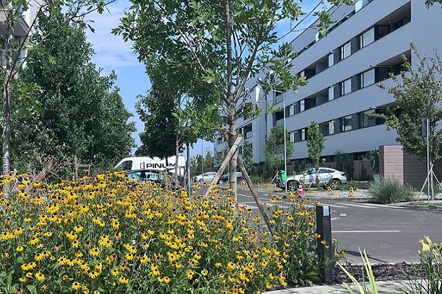 Sector 1 Reper Mall Colosseum: Studio + Gradina proprie, Nou-Finalizat