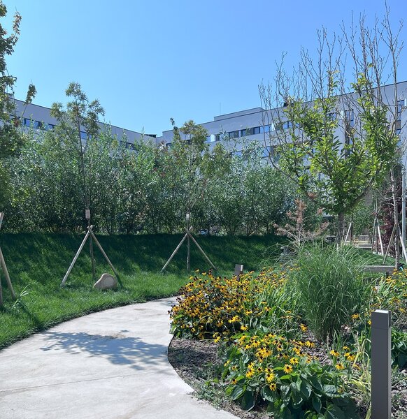 Sector 1 Reper Mall Colosseum: Studio + Gradina proprie, Nou-Finalizat